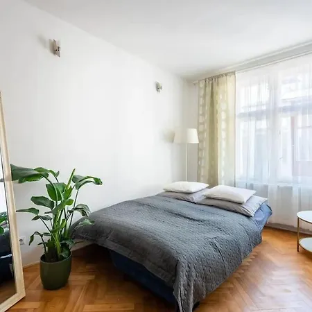 2 Bedrooms Near Wenceslas Sq Apartment Prague
